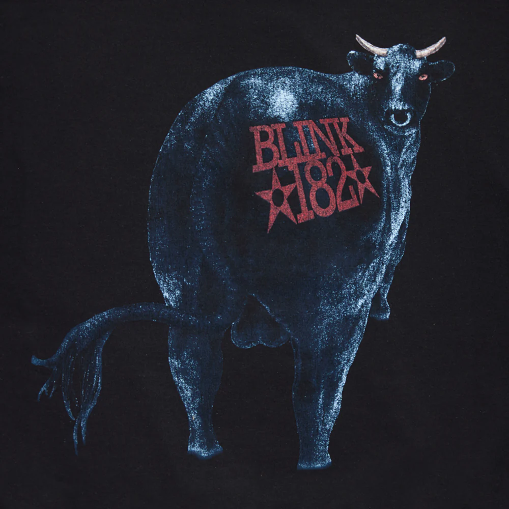 Dude Ranch Hoodie - Image 4